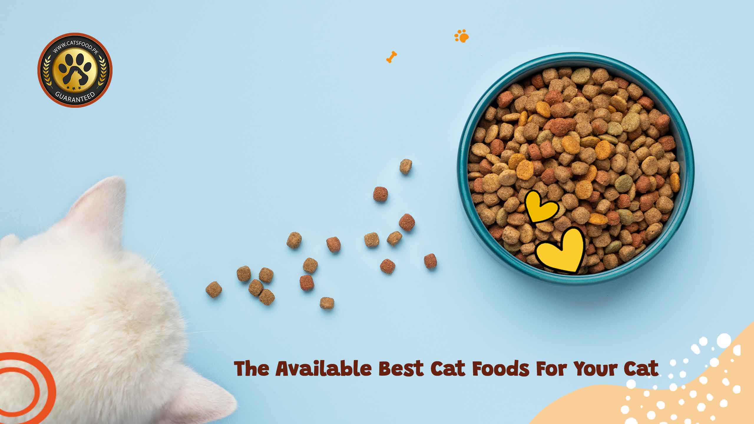 The Available Cat Foods in Pakistan