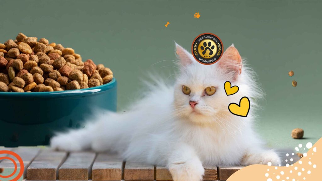 Where to Buy Persian Cat food in Pakistan
