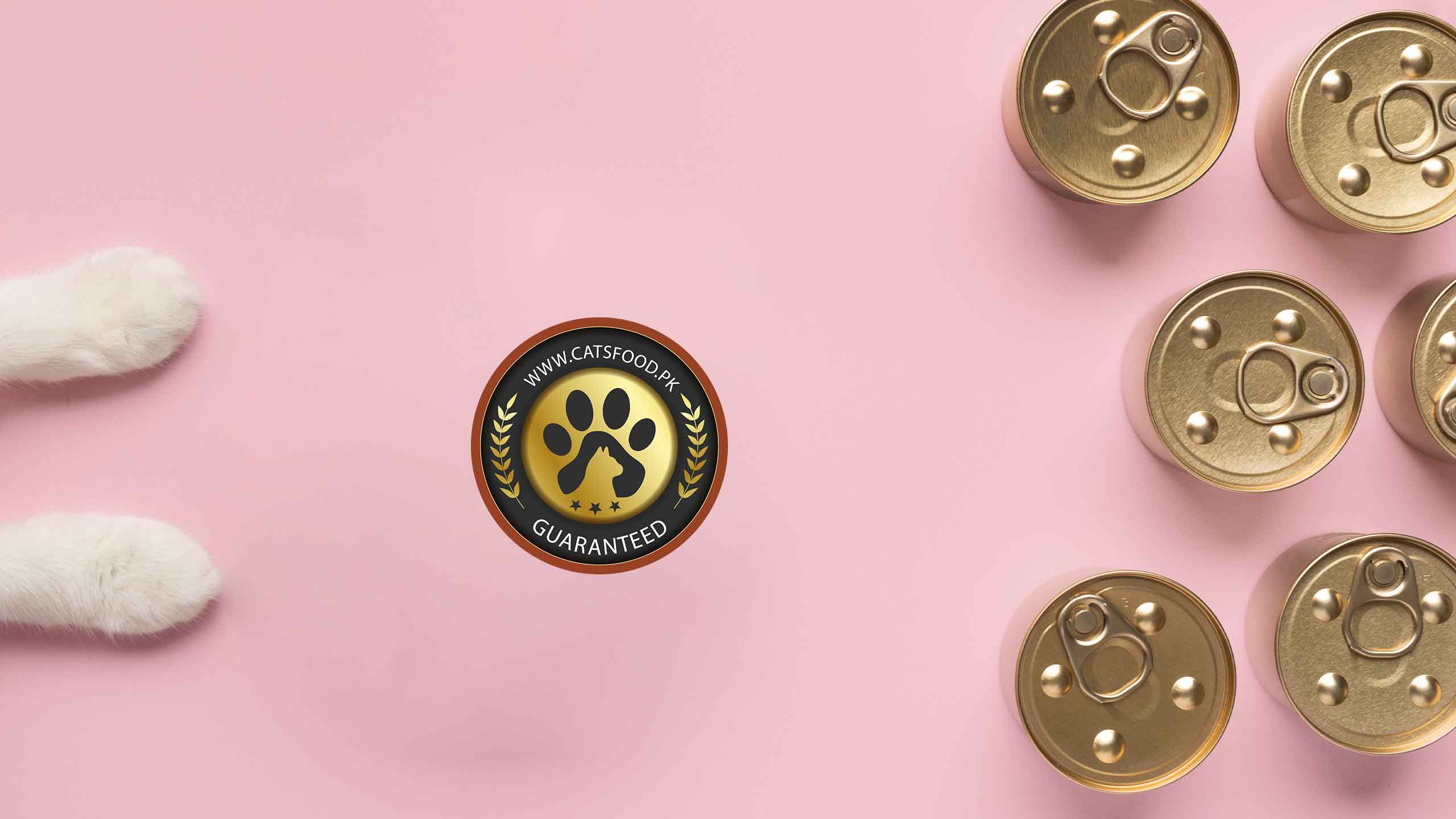 Why is the Best Wet Cat food in Pakistan?
